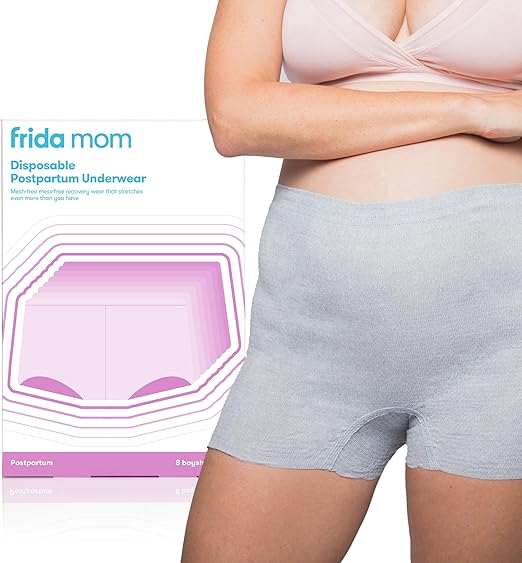 Frida Mom Postpartum Disposable Boyshort Knickers – Regular