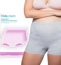 Frida Mom Postpartum Disposable Boyshort Knickers – Regular