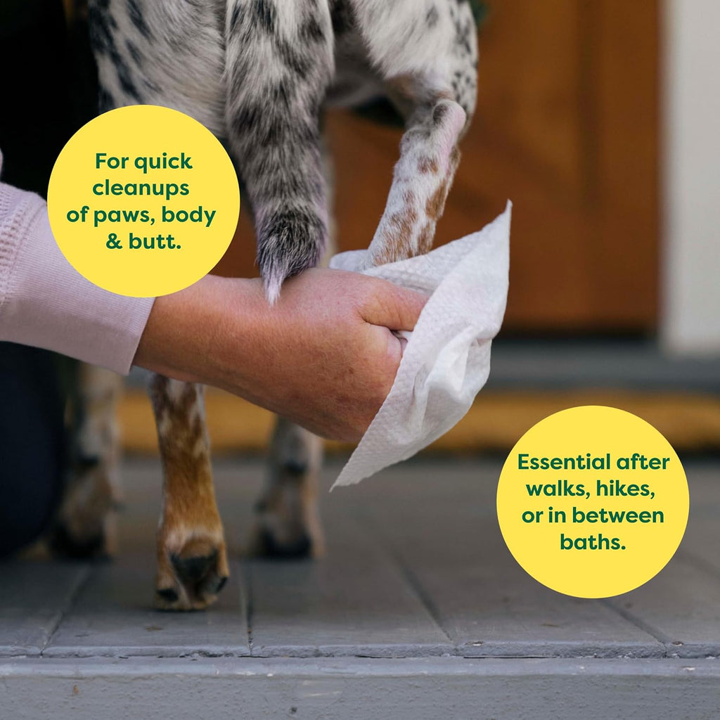 Earth Rated Lavender Dog Grooming Wipes – Hypoallergenic & Hydrating (100 Pack)
