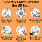 Daily Probiotics for Dogs - 120 Beef Flavored Soft Chews with Natural Pumpkin Powder for Healthy Gut & Sensitive Tummy. Reduces Scooting, Loose Stools, Smelly, Itchy Ears for Small, Medium, Large Dogs