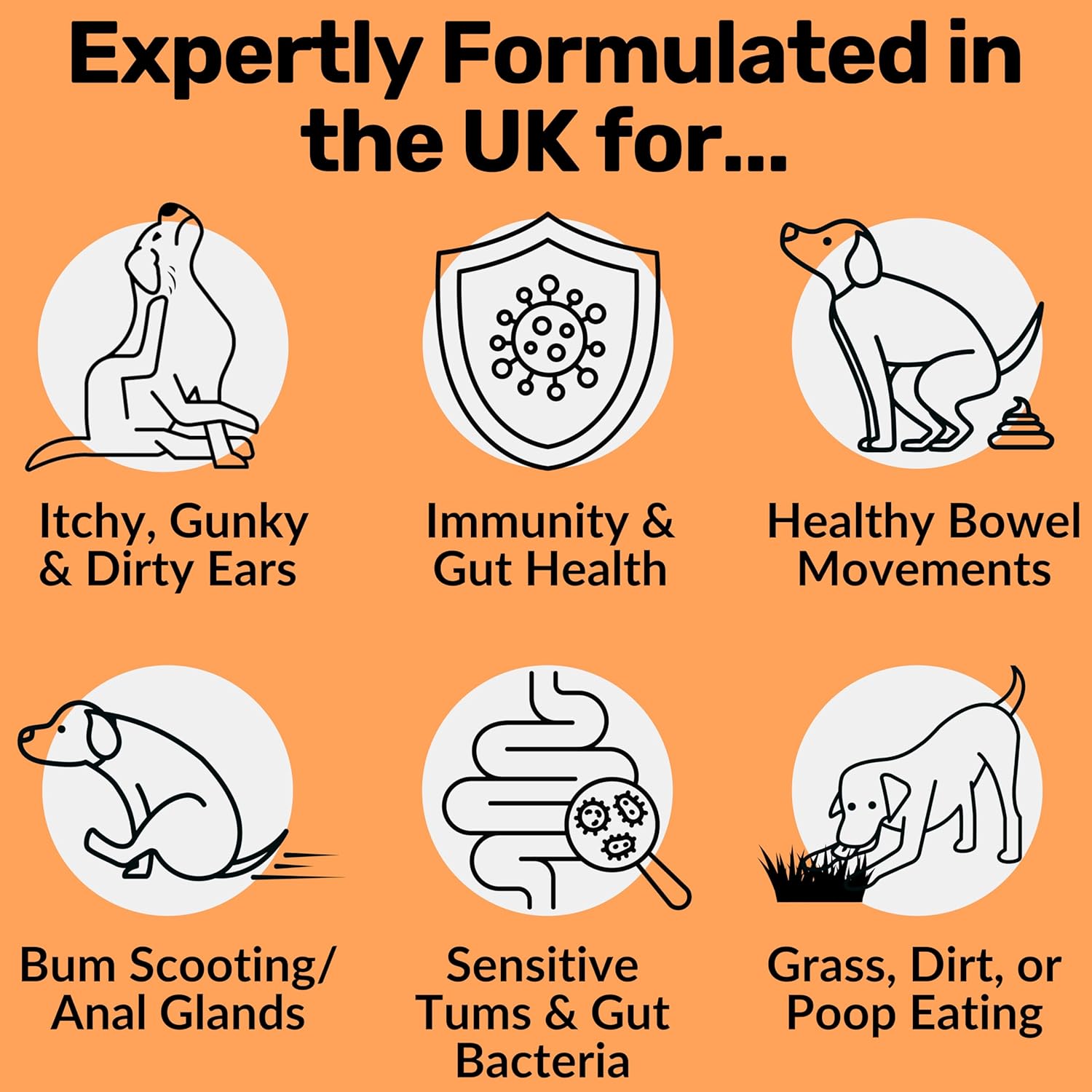 Daily Probiotics for Dogs - 120 Beef Flavored Soft Chews with Natural Pumpkin Powder for Healthy Gut & Sensitive Tummy. Reduces Scooting, Loose Stools, Smelly, Itchy Ears for Small, Medium, Large Dogs