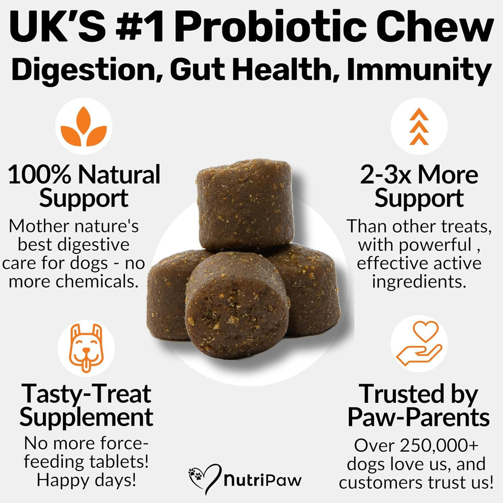 Daily Probiotics for Dogs - 120 Beef Flavored Soft Chews with Natural Pumpkin Powder for Healthy Gut & Sensitive Tummy. Reduces Scooting, Loose Stools, Smelly, Itchy Ears for Small, Medium, Large Dogs