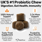 Daily Probiotics for Dogs - 120 Beef Flavored Soft Chews with Natural Pumpkin Powder for Healthy Gut & Sensitive Tummy. Reduces Scooting, Loose Stools, Smelly, Itchy Ears for Small, Medium, Large Dogs