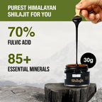 Kapiva Himalayan Shilajit Resin – Pure Ayurvedic Energy & Stamina Booster (30g, 250mg/Serving)