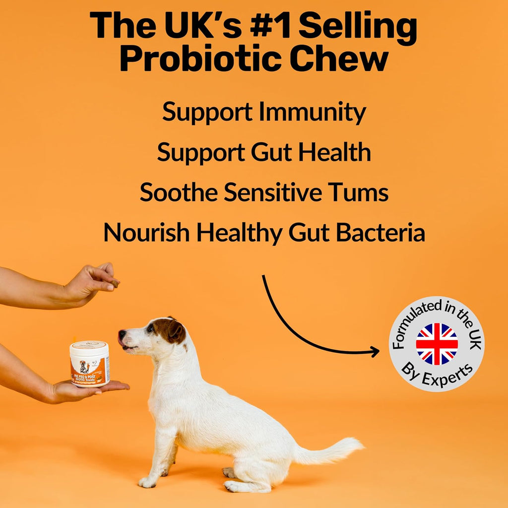Daily Probiotics for Dogs - 120 Beef Flavored Soft Chews with Natural Pumpkin Powder for Healthy Gut & Sensitive Tummy. Reduces Scooting, Loose Stools, Smelly, Itchy Ears for Small, Medium, Large Dogs