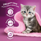 Whiskas Junior Chicken Dry Food for Kittens (2 × 1.9 kg)