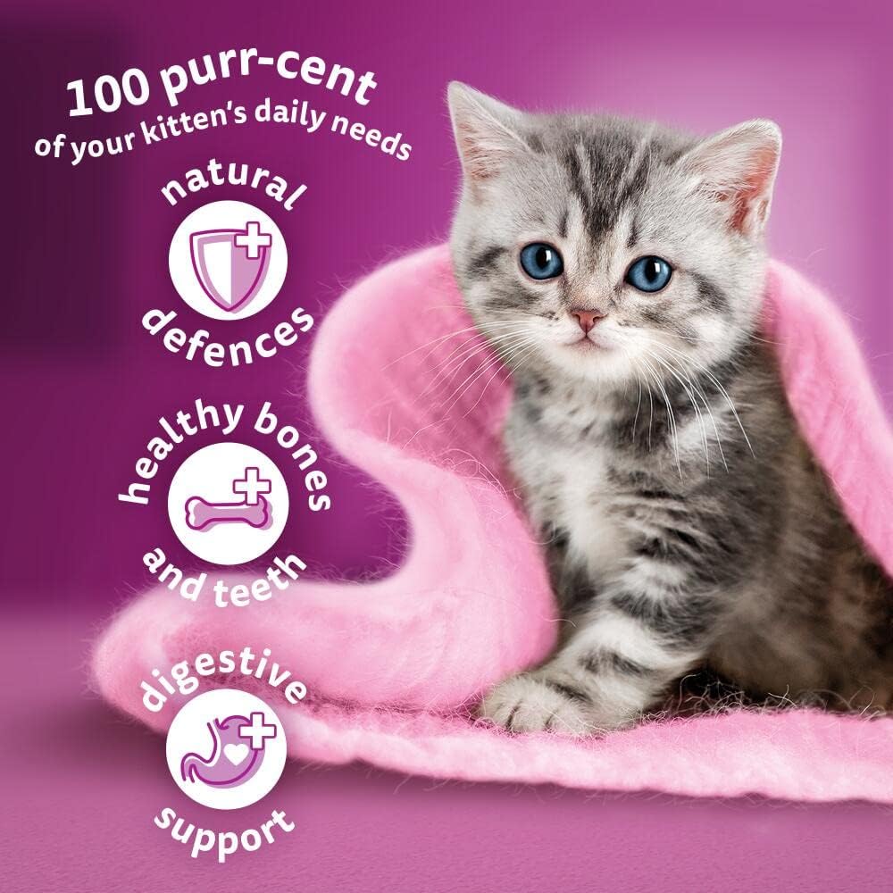 Whiskas Junior Chicken Dry Food for Kittens (2 × 1.9 kg)