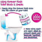 EcoZone Forever Flush 2000 Toilet Blocks – Set of 2