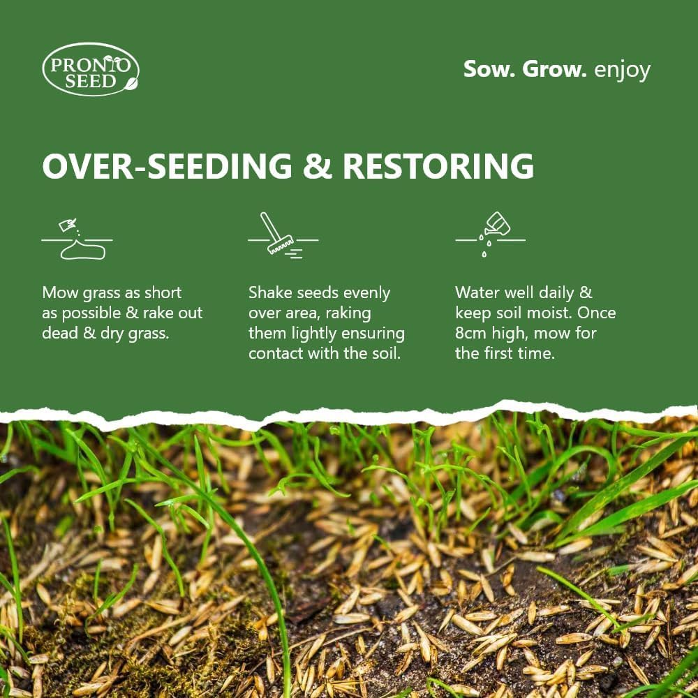Pronto Seed Premium Grass Seed 1.4kg – Fast Growing Lawn Seed