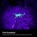 51 LED UV Torch (395nm) – Ultraviolet Blacklight Flashlight