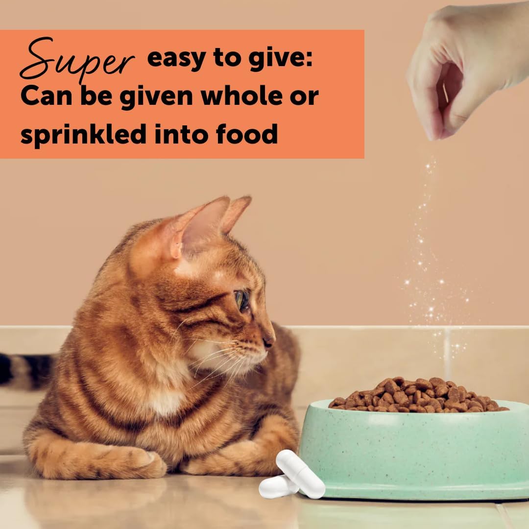 Feliway Cystease Cat Urinary Support Capsules – 30 Pack