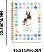 12-Color Beginner Watercolor Painting Kit