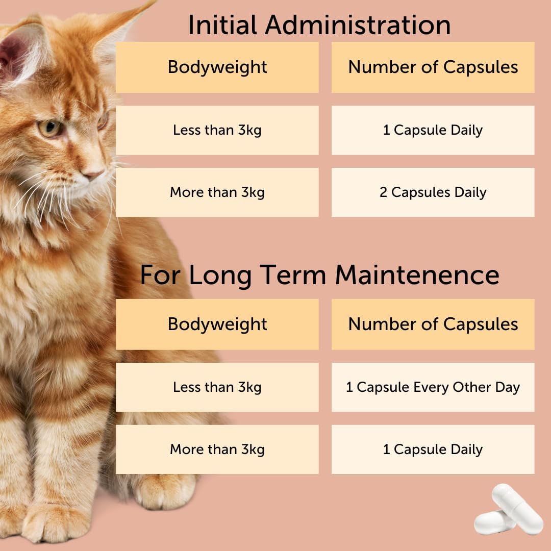 Feliway Cystease Cat Urinary Support Capsules – 30 Pack