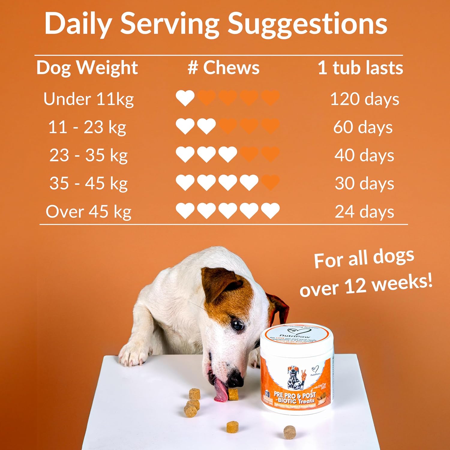 Daily Probiotics for Dogs - 120 Beef Flavored Soft Chews with Natural Pumpkin Powder for Healthy Gut & Sensitive Tummy. Reduces Scooting, Loose Stools, Smelly, Itchy Ears for Small, Medium, Large Dogs