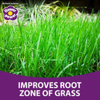 Flower Power Moss Remover & Lawn Feeder – 5kg