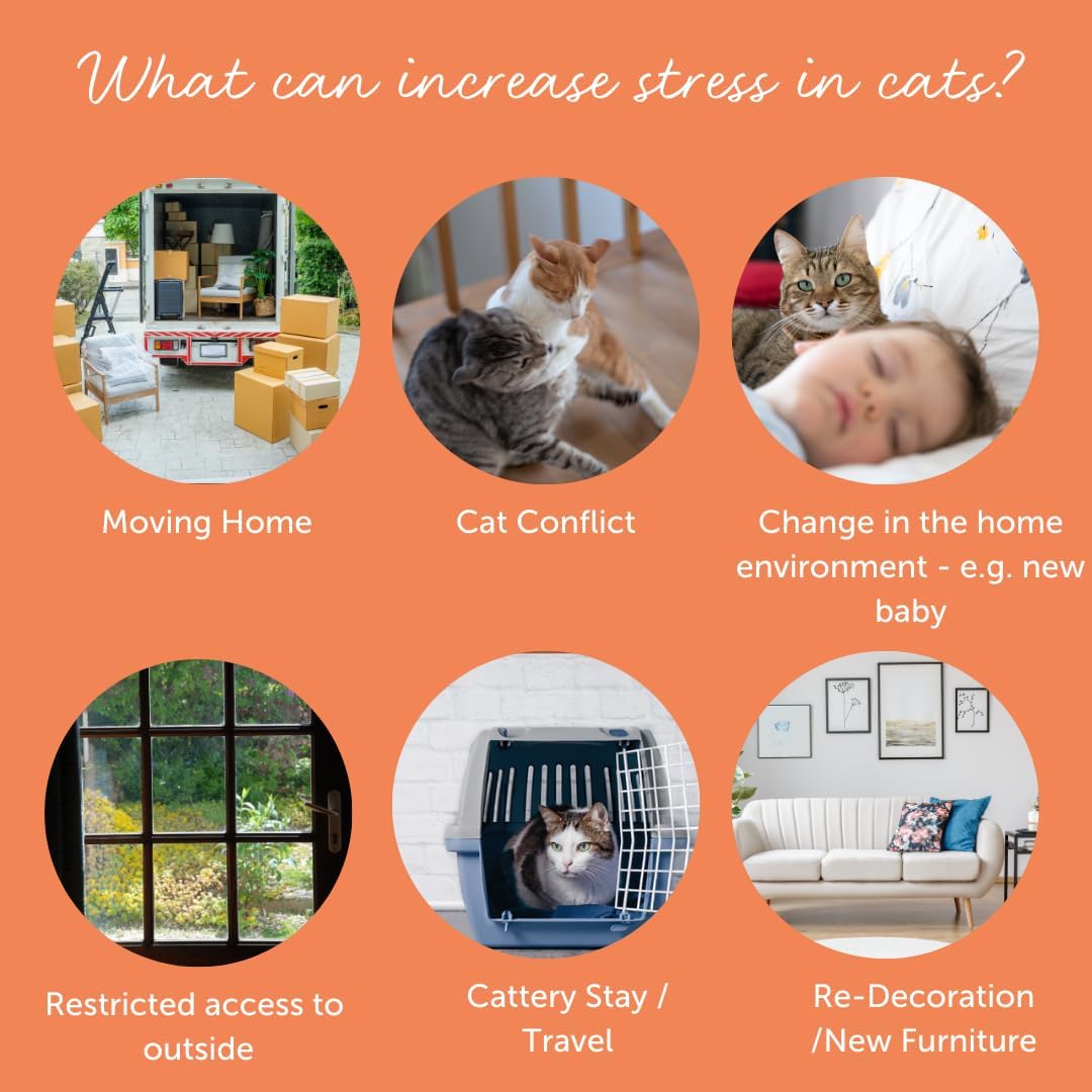 Feliway Cystease Cat Urinary Support Capsules – 30 Pack
