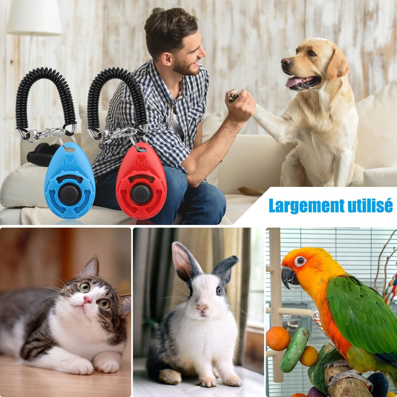Diyife 2-Pack Dog Clickers (Blue & Red) – Pet Training Clicker with Wrist Strap for Dogs, Cats & Horses