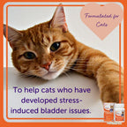 Feliway Cystease Cat Urinary Support Capsules – 30 Pack