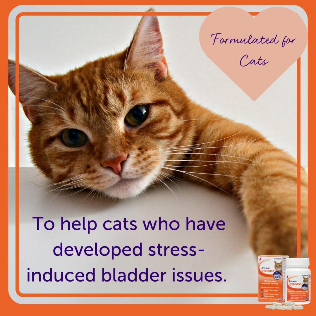 Feliway Cystease Cat Urinary Support Capsules – 30 Pack